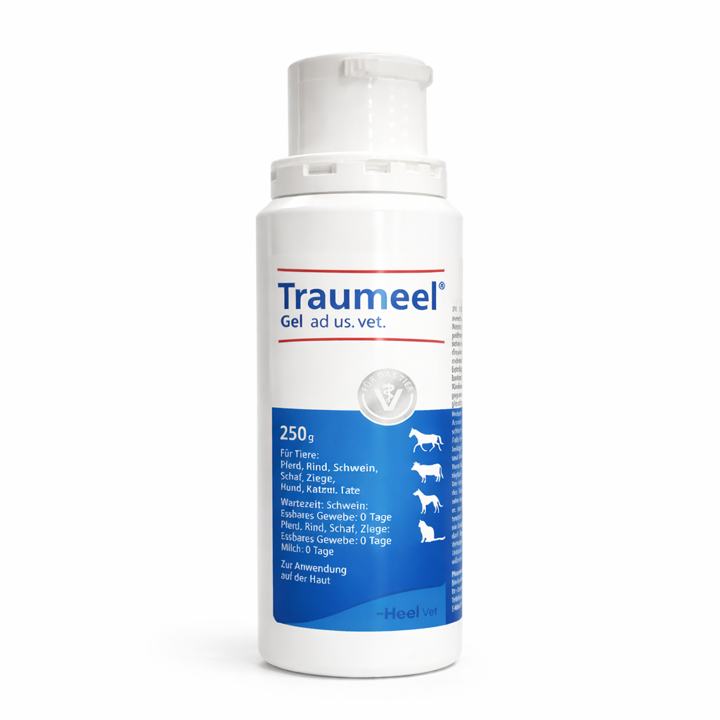 Traumeel® Gel ad us. vet. — Vet-Trusted Natural Relief for Pain & Inflammation