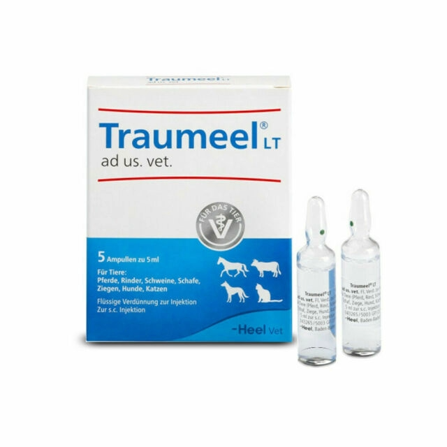 Traumeel® LT ad us. vet. 5ml Vial — Vet-Trusted Natural Relief for Pain & Inflammation