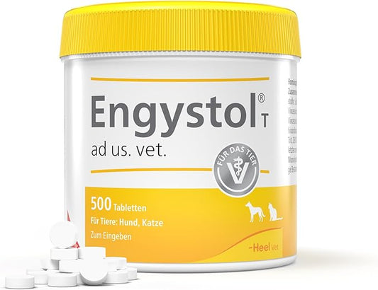 Engystol® LT ad us. vet. Tablets— Boost Immunity & Promote Healing