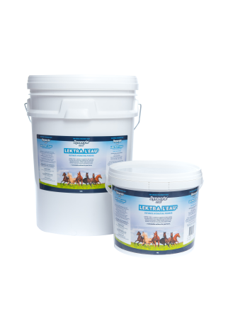 Lektra L’eau® — Vet-Formulated Hydration & Electrolyte Powder for Horses