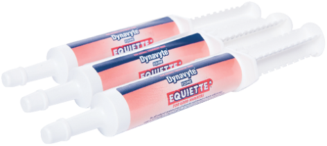 Equiette® — Vet-Formulated Calm & Focus Support for Horses