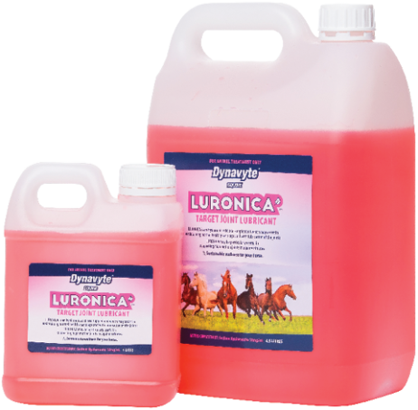 Luronica® — Vet-Formulated Hyaluronic Acid Joint Lubricant for Horses