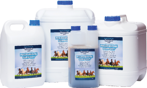 Microbiome Support® — Vet-Formulated Synbiotic for Horses