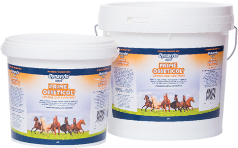 Prime Osseticol® — Vet-Formulated for Rehab, Collagen & Bone Support