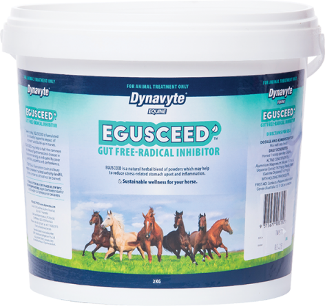 Egusceed® — Vet-Formulated Antioxidant & Gastro-Support for Horses