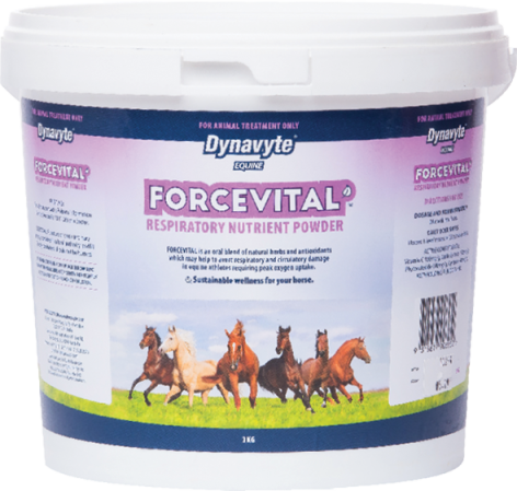 Forcevital® — Vet-Formulated Botanical Respiratory & Circulatory Support for Performance Horses