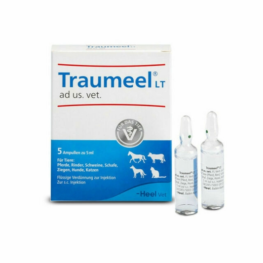 Traumeel® LT ad us. vet. 5ml Vial — Vet-Trusted Natural Relief for Pain & Inflammation
