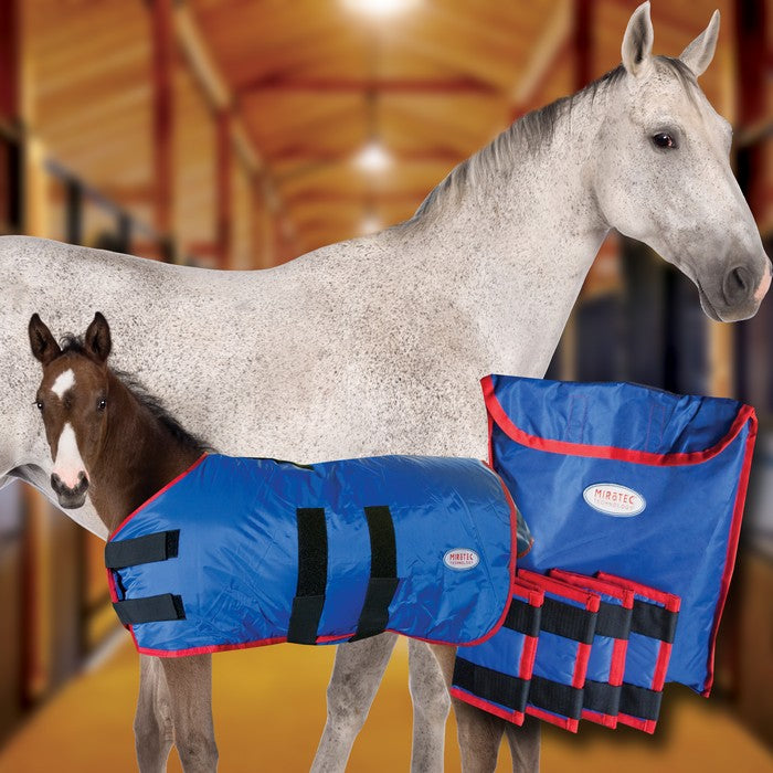 Mirotec Foal Newborn Kit